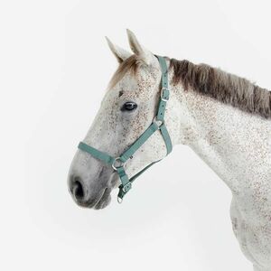 Fouganza Kötőfék, nagyló és póni méret - Schooling kép