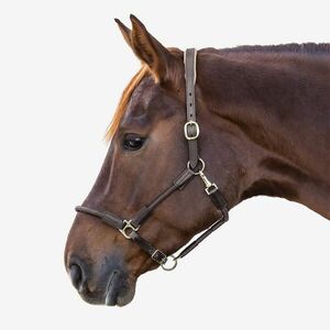 Waldhausen Kötőfék, nagylónak és póninak - Nevada kép