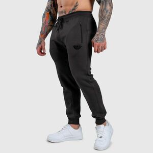 Jogger melegítőnadrág Iron Aesthetics Round, szürke kép