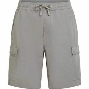 O'Neill ESSENTIALS Férfi cargo rövidnadrág, szürke, méret kép