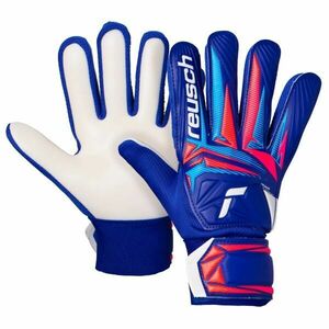 Reusch ATTRAKT STARTER SOLID JUNIOR Gyerek kapuskesztyű, kék, méret kép