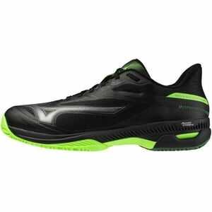 Mizuno WAVE EXCEED COURT CC Férfi teniszcipő, fekete, méret 43 kép
