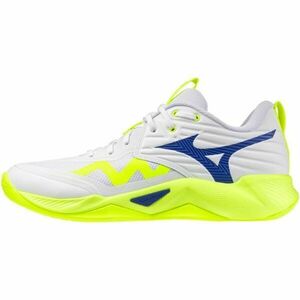 Mizuno WAVE MOMENTUM PRO Férfi röplabda cipő, fehér, méret 43 kép