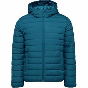 4F DOWN SYNTHETIC JACKET Férfi dzseki, kék, méret kép