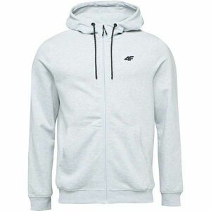 4F SWEATSHIRT LEO Férfi pulóver, szürke, méret kép