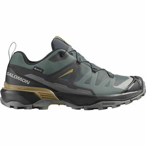 Salomon X ULTRA 360 GTX Férfi túracipő, sötétzöld, méret 46 kép