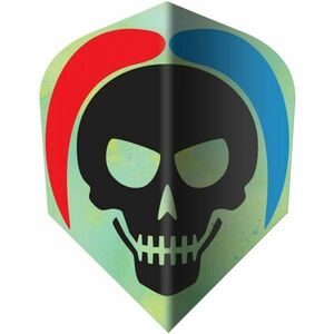 Windson DARTS TOLL SZETT Darts toll szett, zöld, méret kép