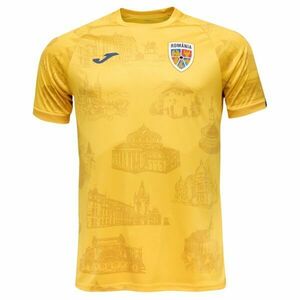 Joma FED. FUTBOL RUMANÍA PRE-GAME SHORT SLEEVE T-SHIRT Férfi sportpóló, sárga, méret kép