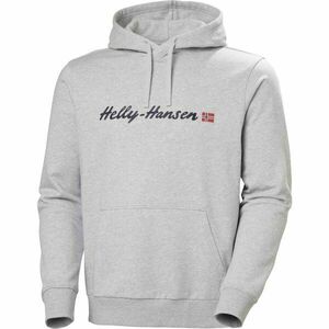 Helly Hansen CORE GRAPHIC HOODIE Férfi kapucnis pulóver, szürke, méret kép
