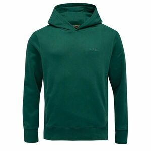 ELLESSE MADONE Férfi pulóver, sötétzöld, méret kép