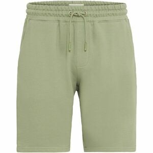BLEND BHBRODY Férfi rövidnadrág, világoszöld, méret kép