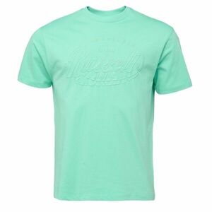 Russell Athletic T-SHIRT Férfi póló, zöld, méret kép