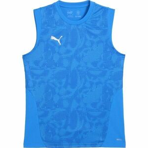 Puma TEAMCUP TRAINING SLEEVELESS JERSEY Férfi ujjatlan felső edzéshez, kék, méret kép