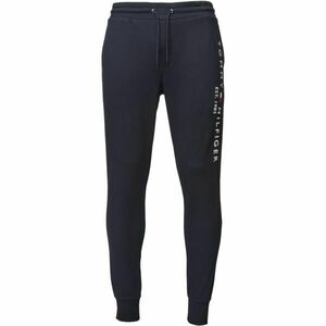 Tommy Hilfiger TOMMY LOGO SWEATPANTS Férfi melegítőnadrág, sötétkék, méret kép
