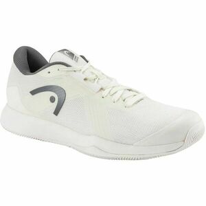 Head HEAD SPRINT TEAM 4.0 CLAY Férfi teniszcipő, fehér, méret 45 kép