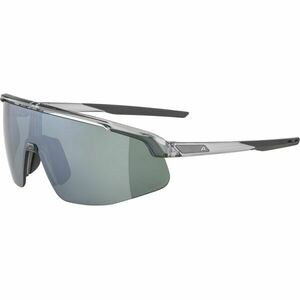 Alpina Sports TURBO PRO Q-LITE Napszemüveg, szürke, méret kép