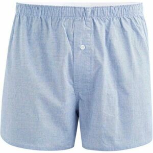 CELIO MICUADRO Férfi alsónadrág, világoskék, méret kép