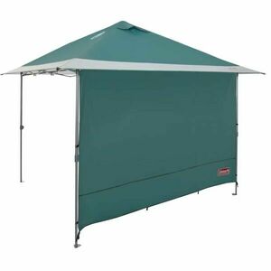 Egyedül a falon kép