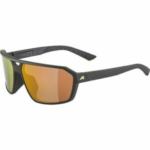 Alpina Sports SWIFT Napszemüveg, fekete, méret kép