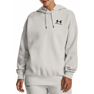 Kapucnis melegítő felsők Under Armour Under Armour Essential Fleece OS kép