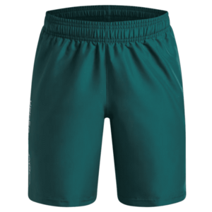 Rövidnadrág Under Armour UA Tech Woven Wordmark Short kép