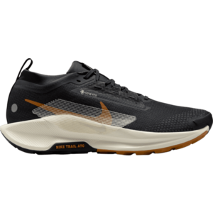Terepfutó cipők Nike Pegasus Trail 5 GORE-TEX kép