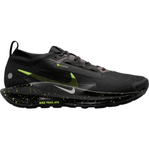 Terepfutó cipők Nike Pegasus Trail 5 GORE-TEX kép
