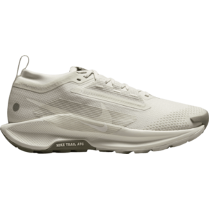 Terepfutó cipők Nike Pegasus Trail 5 GORE-TEX kép