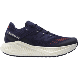 Futócipők Salomon AERO GLIDE 3 GRVL kép