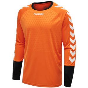 Hosszú ujjú póló Hummel ESSENTIAL GK JERSEY kép