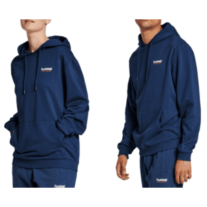 Kapucnis melegítő felsők Hummel LGC AUSTIN HOODIE kép