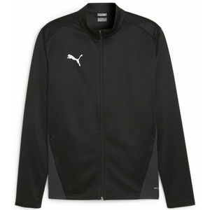 Dzseki Puma teamGOAL Training Jacket kép