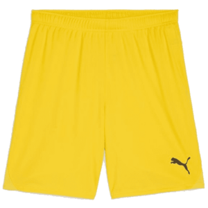 Rövidnadrág Puma teamGOAL Short kép