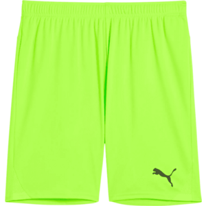 Rövidnadrág Puma teamGOAL Shorts kép