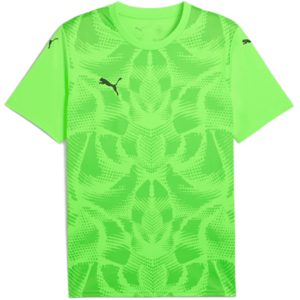 Póló Puma teamULTIMATE Jersey kép