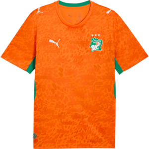 Póló Puma Ivory Coast Home Replica 2026 kép
