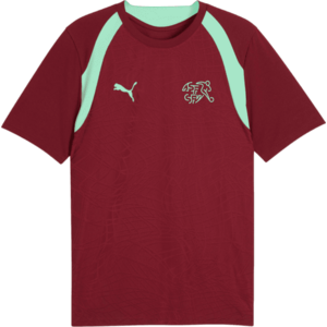 Póló Puma Switzerland Training kép
