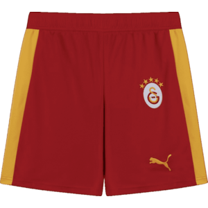 Rövidnadrág Puma Galatasaray SK T7 kép