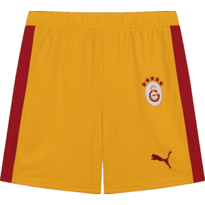 Rövidnadrág Puma Galatasaray SK T7 kép