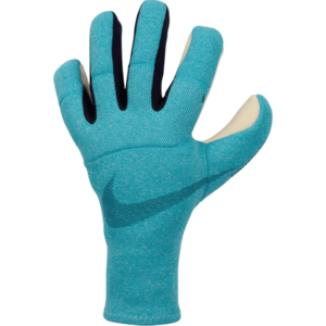 Kapuskesztyű Nike Dynamic Fit Goalkeeper Gloves kép