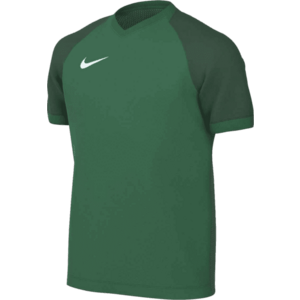 Póló Nike Dri-FIT Trophy VI Kids kép