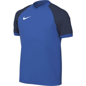 Póló Nike Dri-FIT Trophy VI Kids kép