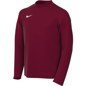 Hosszú ujjú mez Nike Dri-FIT Park VIII Long Sleeve Kids kép