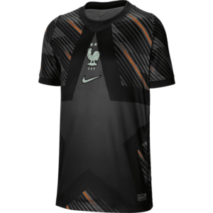 Póló Nike Dri-FIT France Stadium Goalkeeper 2026 Kids kép