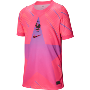 Póló Nike Dri-FIT France Stadium Goalkeeper 2026 Kids kép