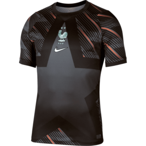 Póló Nike Dri-FIT France Stadium Goalkeeper 2026 kép
