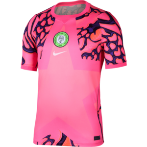 Póló Nike Dri-FIT Nigeria Stadium Goalkeeper 2026 kép