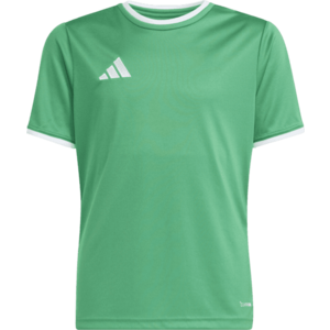 Póló adidas Entrada 26 Kids kép