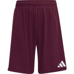 Rövidnadrág adidas Entrada 26 Kids kép