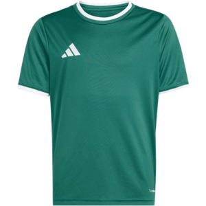 Póló adidas Entrada 26 Kids kép